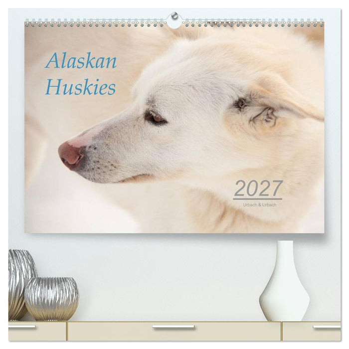 Alaskan Huskies (CALVENDO Premium Wandkalender 2027)