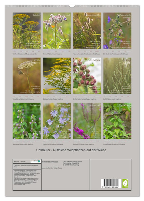 Unkräuter - Nützliche Wildpflanzen auf der Wiese (CALVENDO Premium Wandkalender 2027)