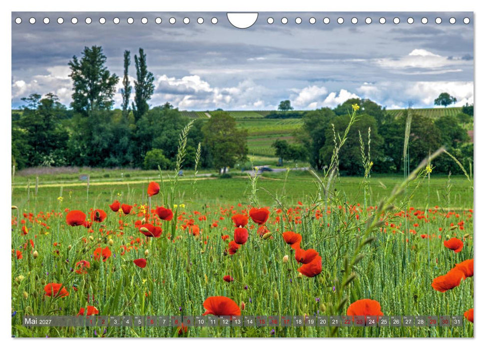 Weinland Pfalz - Region Südliche Weinstraße (CALVENDO Wandkalender 2027)