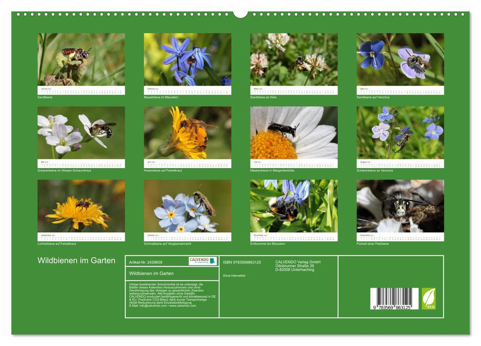 Wildbienen im Garten (CALVENDO Premium Wandkalender 2027)