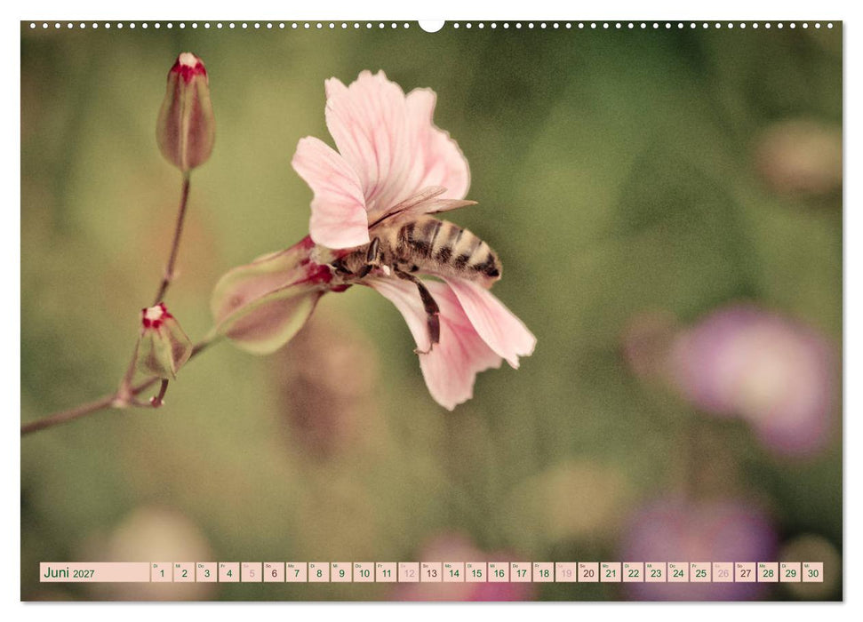 Wildwuchs 2027 (CALVENDO Premium Wandkalender 2027)
