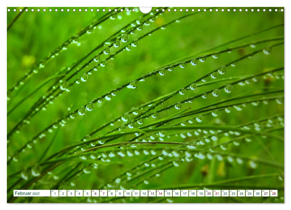 GRÜN. Die Kraft der Natur (CALVENDO Wandkalender 2027)