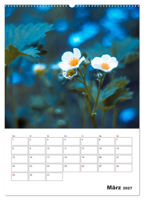 Farbiger Blütentraum (CALVENDO Premium Wandkalender 2027)