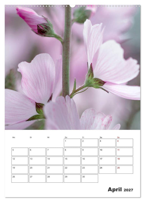 Farbiger Blütentraum (CALVENDO Premium Wandkalender 2027)