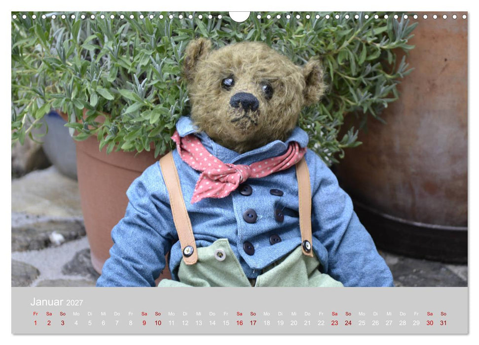 Robin der Bär (CALVENDO Wandkalender 2027)