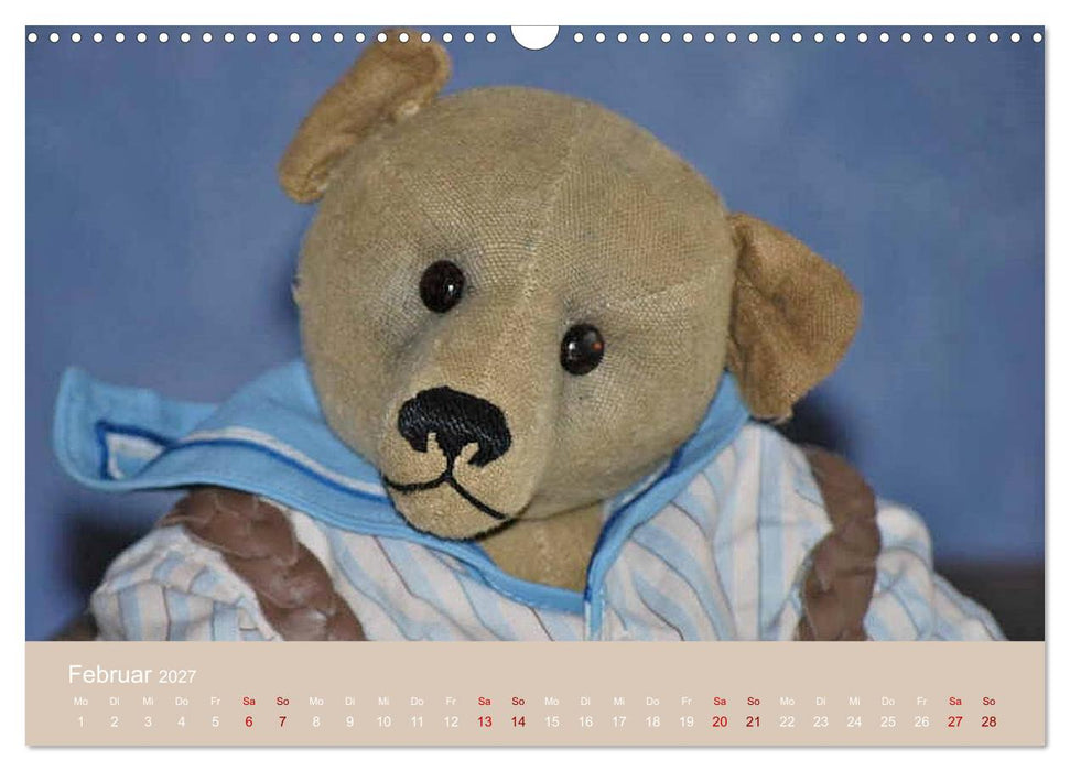 Robin der Bär (CALVENDO Wandkalender 2027)