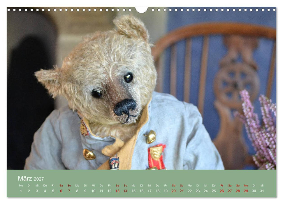 Robin der Bär (CALVENDO Wandkalender 2027)