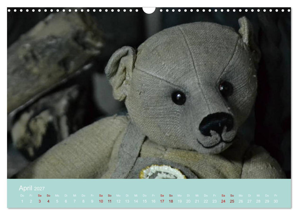 Robin der Bär (CALVENDO Wandkalender 2027)