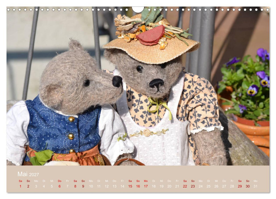 Robin der Bär (CALVENDO Wandkalender 2027)