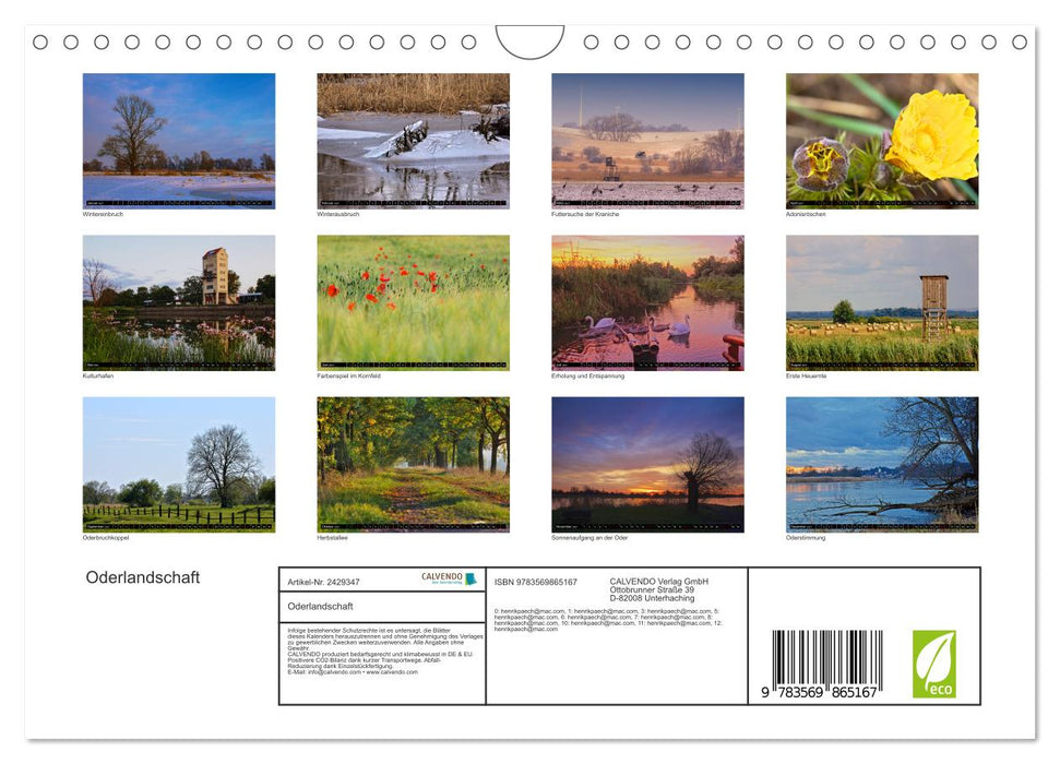 Oderlandschaft (CALVENDO Wandkalender 2027)