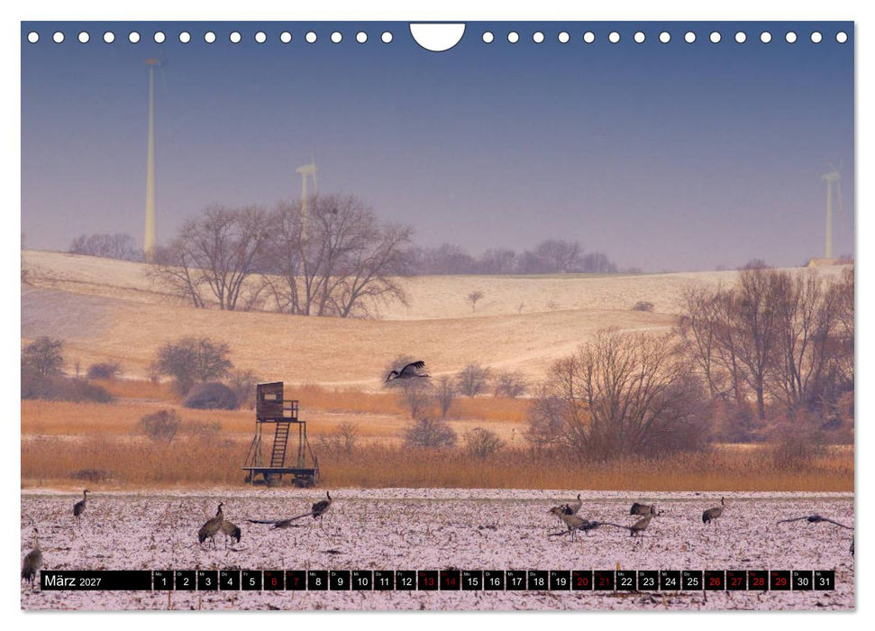 Oderlandschaft (CALVENDO Wandkalender 2027)
