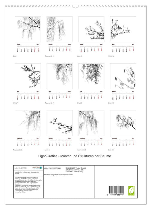LignoGrafica - Muster und Strukturen der Bäume (CALVENDO Premium Wandkalender 2027)
