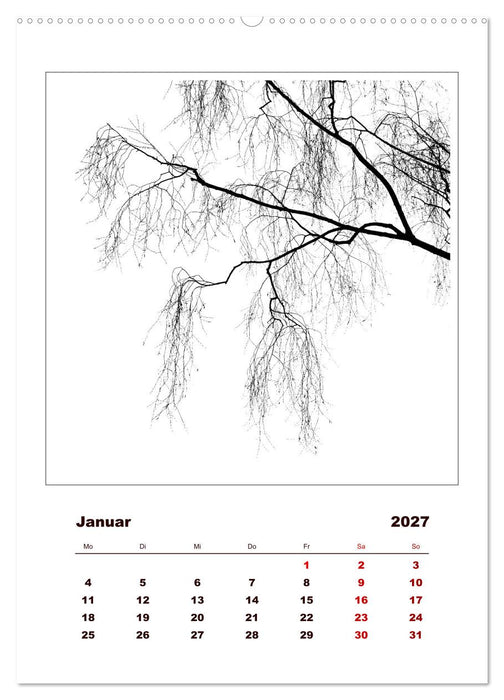 LignoGrafica - Muster und Strukturen der Bäume (CALVENDO Premium Wandkalender 2027)