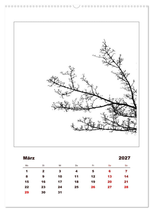 LignoGrafica - Muster und Strukturen der Bäume (CALVENDO Premium Wandkalender 2027)