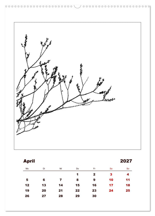 LignoGrafica - Muster und Strukturen der Bäume (CALVENDO Premium Wandkalender 2027)