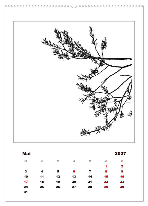 LignoGrafica - Muster und Strukturen der Bäume (CALVENDO Premium Wandkalender 2027)