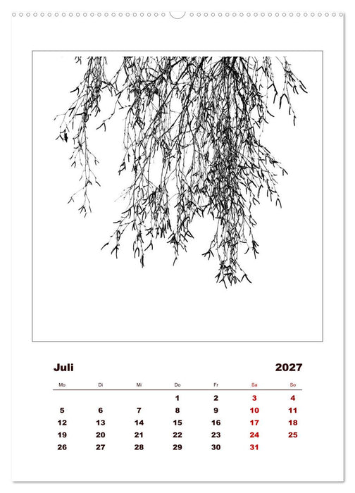 LignoGrafica - Muster und Strukturen der Bäume (CALVENDO Premium Wandkalender 2027)