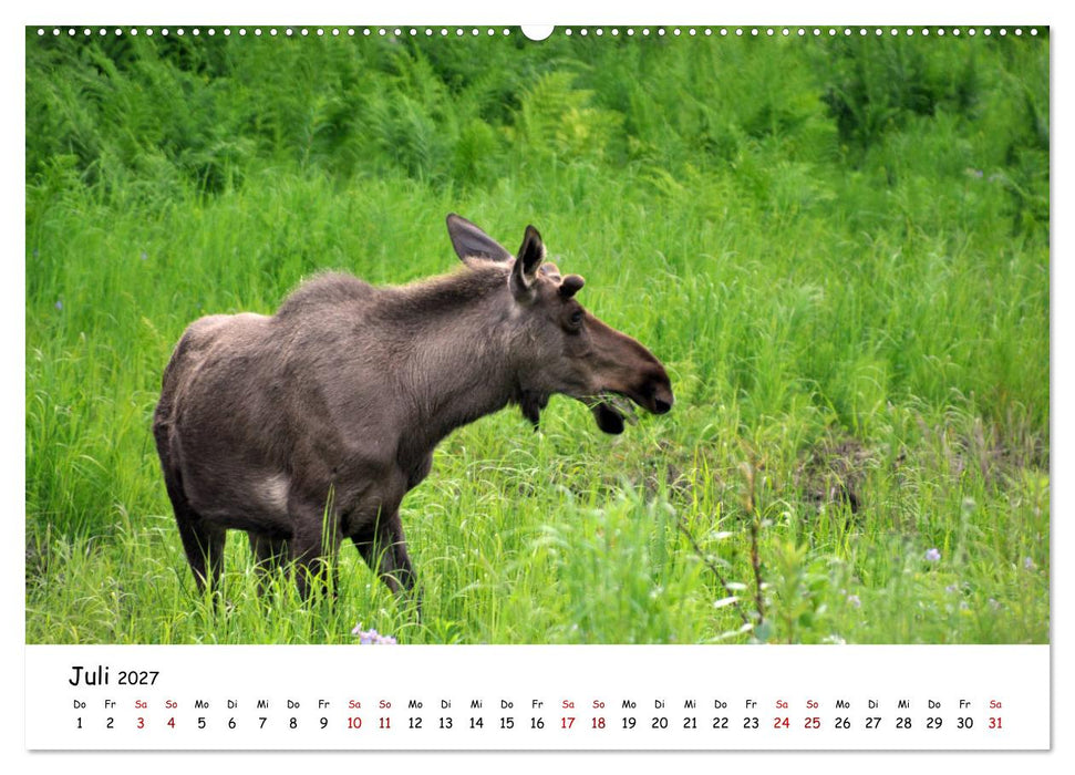 Unendlichkeit in Alaska und Yukon (CALVENDO Premium Wandkalender 2027)