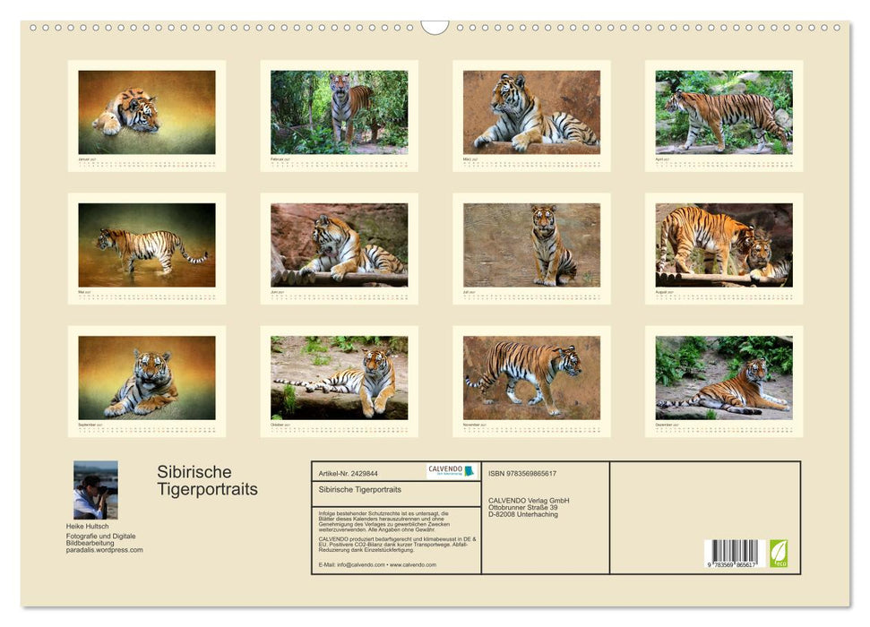 Sibirische Tigerportraits (CALVENDO Wandkalender 2027)