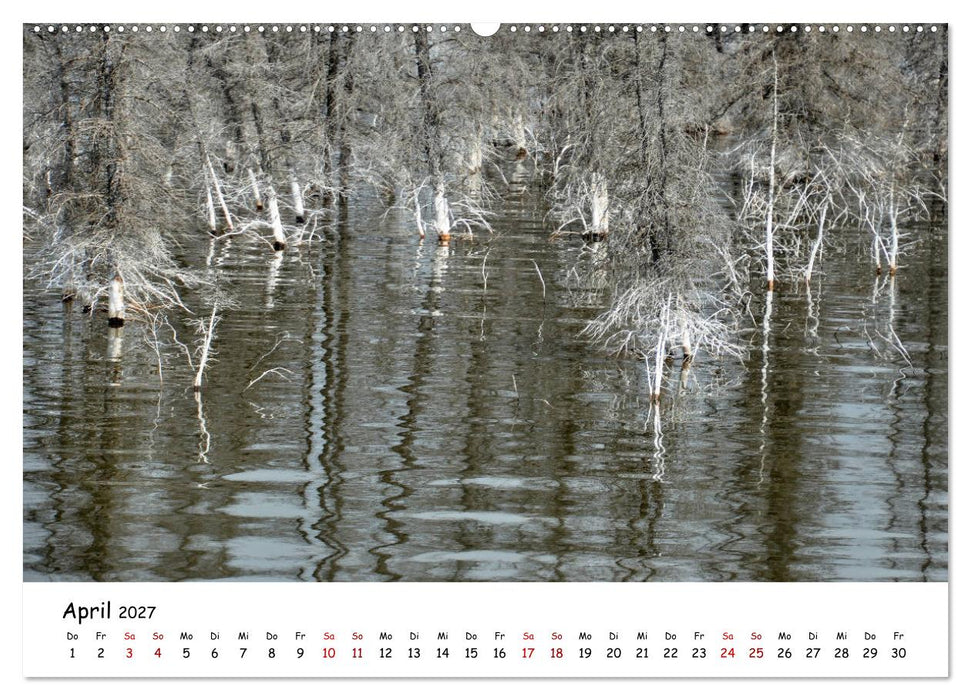 Unendlichkeit in Alaska und Yukon (CALVENDO Wandkalender 2027)