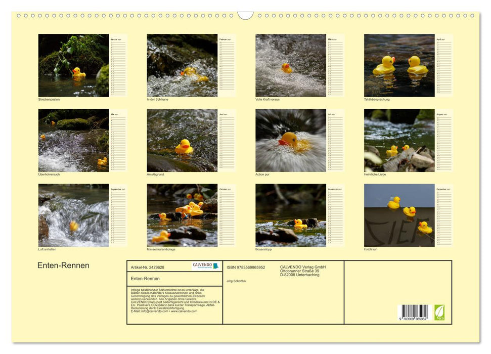Enten-Rennen (CALVENDO Wandkalender 2027)