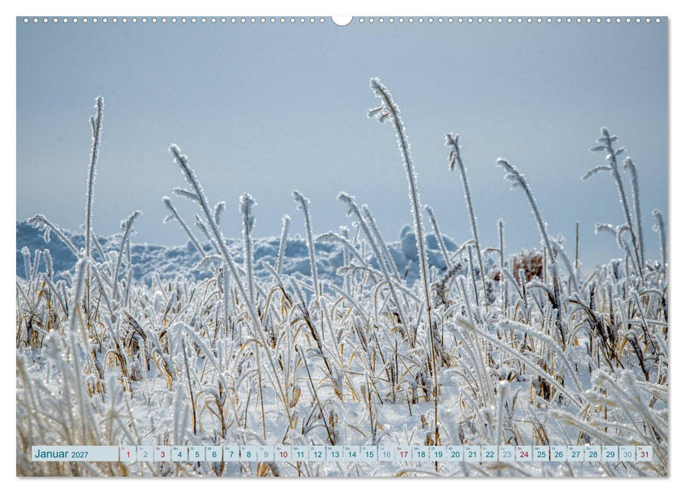 Wildwuchs 2027 (CALVENDO Wandkalender 2027)