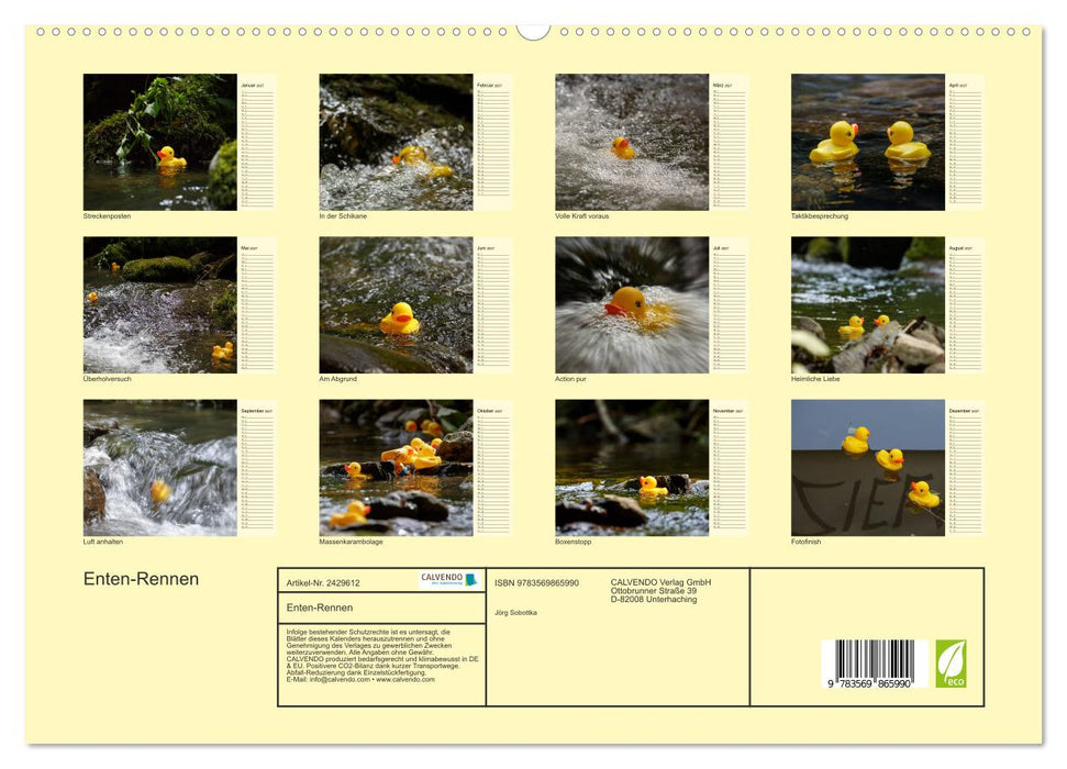 Enten-Rennen (CALVENDO Premium Wandkalender 2027)