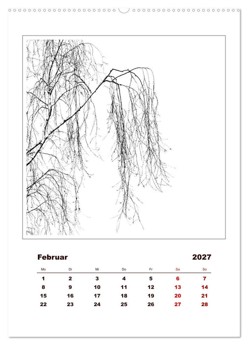 LignoGrafica - Muster und Strukturen der Bäume (CALVENDO Wandkalender 2027)
