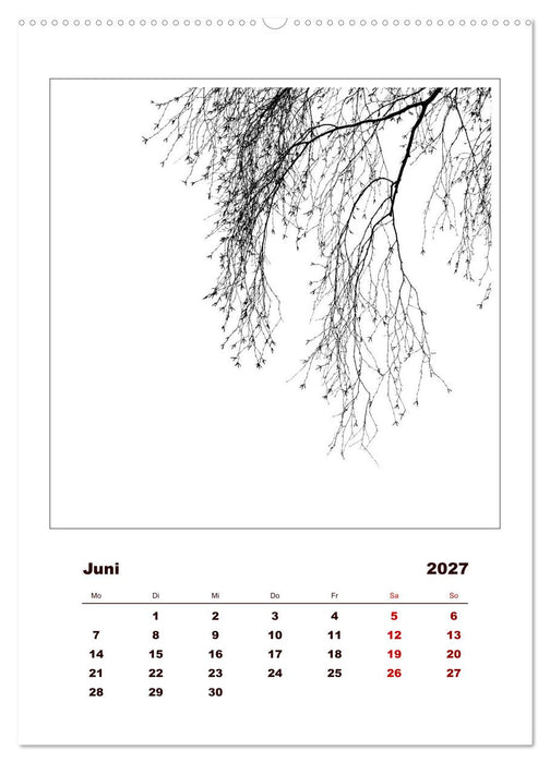 LignoGrafica - Muster und Strukturen der Bäume (CALVENDO Wandkalender 2027)