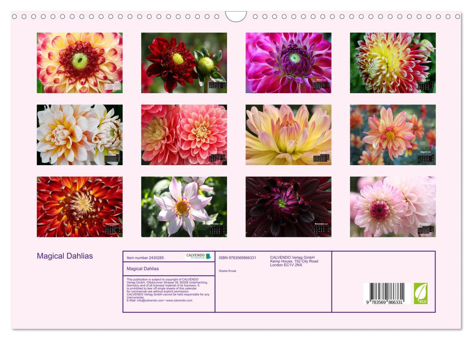 Magical Dahlias (CALVENDO Monthly Calendar 2027)