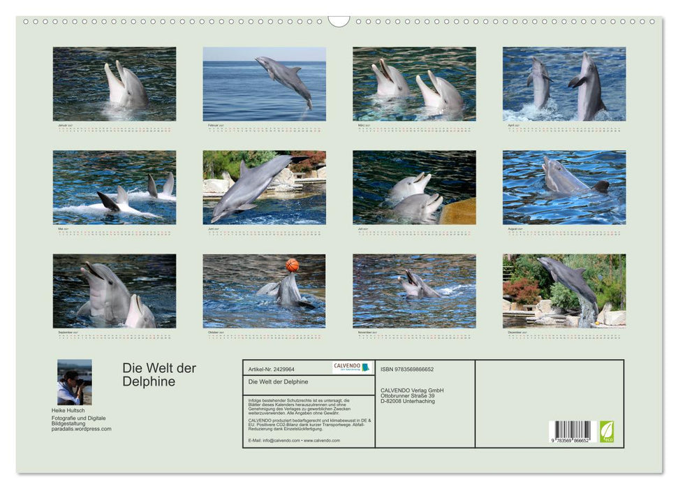 Die Welt der Delphine (CALVENDO Wandkalender 2027)