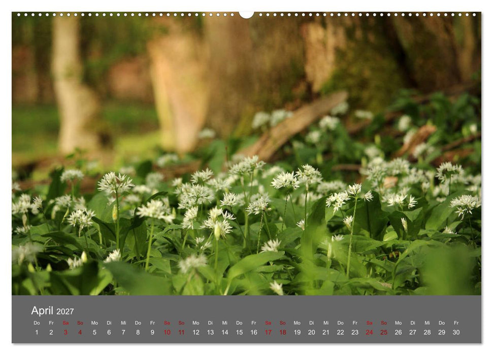 Wahner Heide - Aussichten und Begegnungen (CALVENDO Wandkalender 2027)