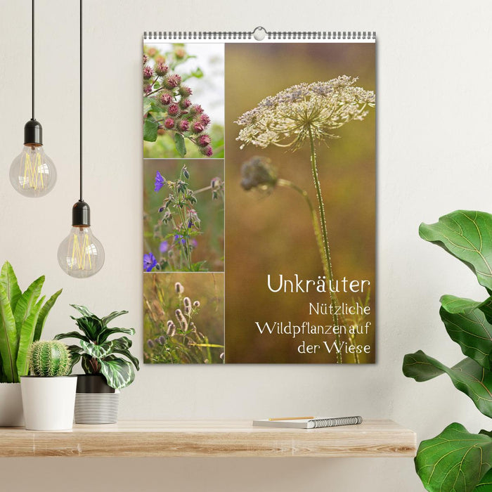 Unkräuter - Nützliche Wildpflanzen auf der Wiese (CALVENDO Wandkalender 2027)