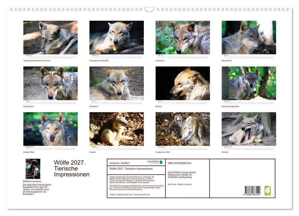 Wölfe 2027. Tierische Impressionen (CALVENDO Wandkalender 2027)