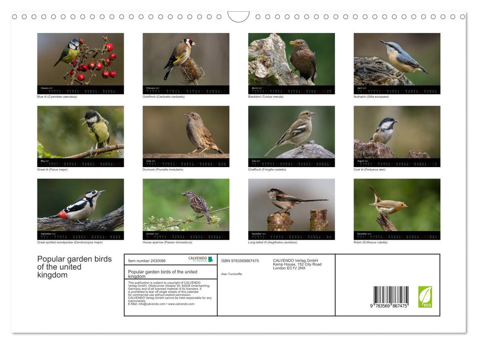 Popular garden birds of the united kingdom (CALVENDO Monthly Calendar 2027)