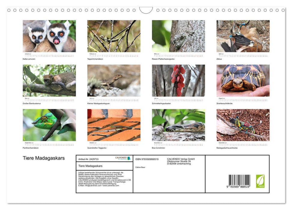 Tiere Madagaskars (CALVENDO Wandkalender 2027)