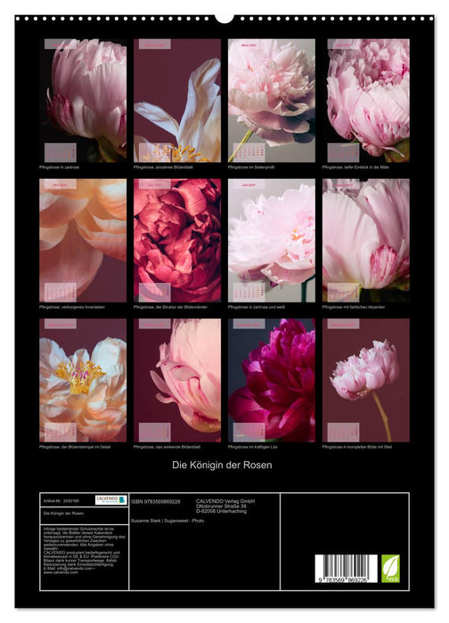 Die Königin der Rosen (CALVENDO Premium Wandkalender 2027)