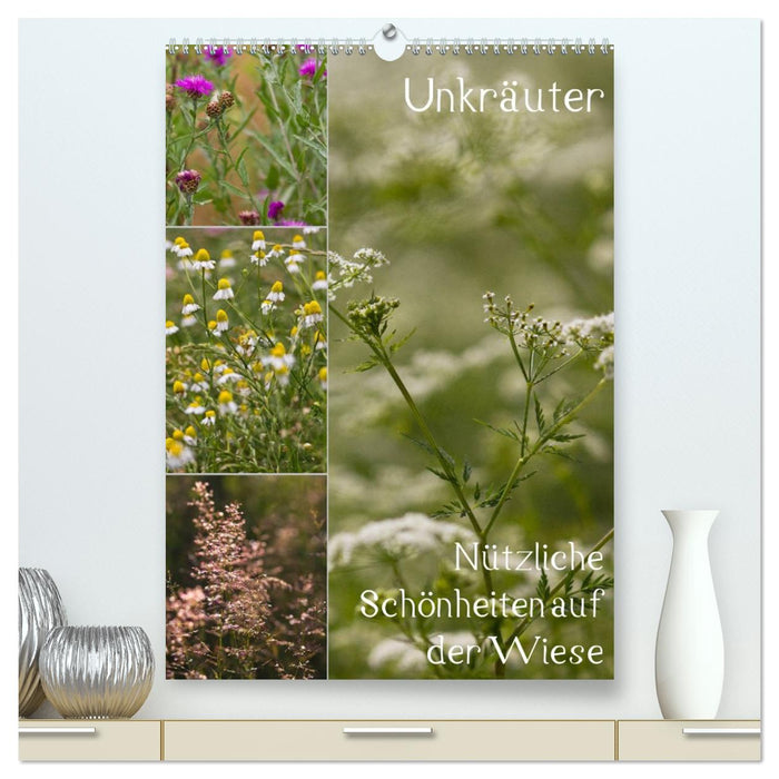 Unkräuter – Nützliche Schönheiten auf der Wiese (CALVENDO Premium Wandkalender 2027)