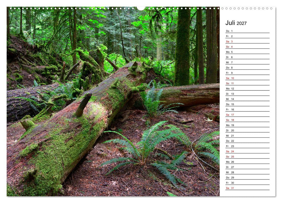Vancouver Island - Perle im Kanadischen Westen (CALVENDO Premium Wandkalender 2027)