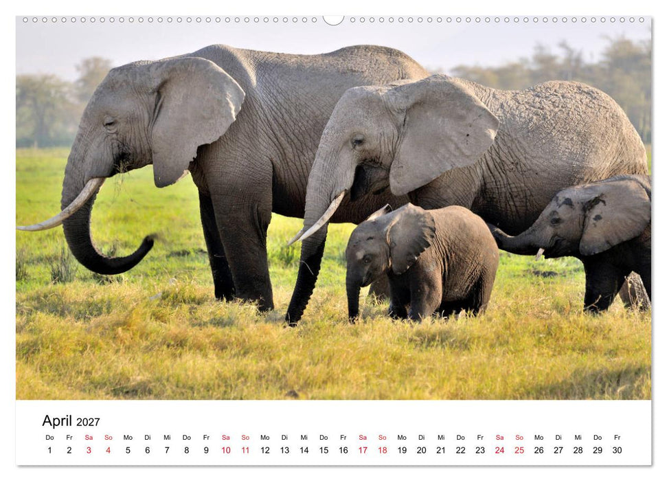 Elefanten Afrikas (CALVENDO Wandkalender 2027)