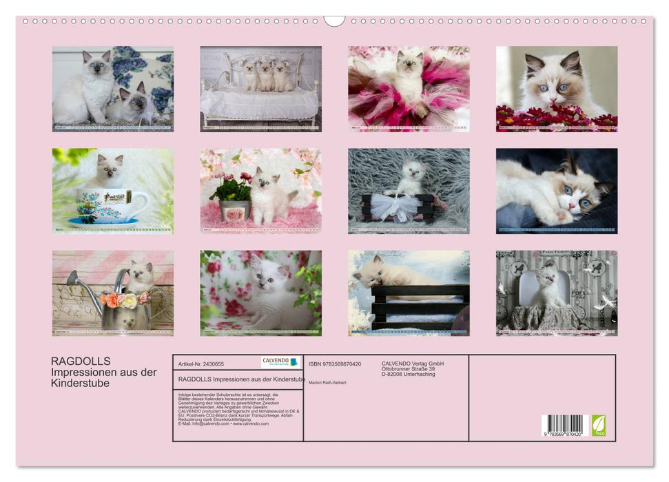 RAGDOLLS Impressionen aus der Kinderstube (CALVENDO Wandkalender 2027)