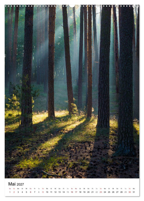 Der Harz - Malerische Orte (CALVENDO Wandkalender 2027)