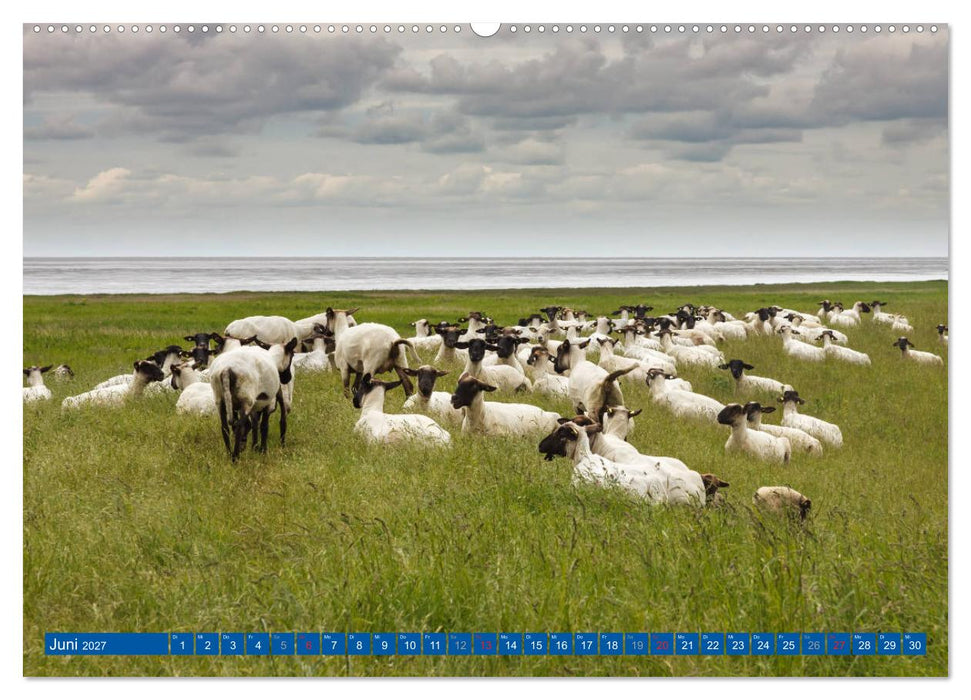 Die Krummhörn Gemeinde in Ostfriesland (CALVENDO Premium Wandkalender 2027)