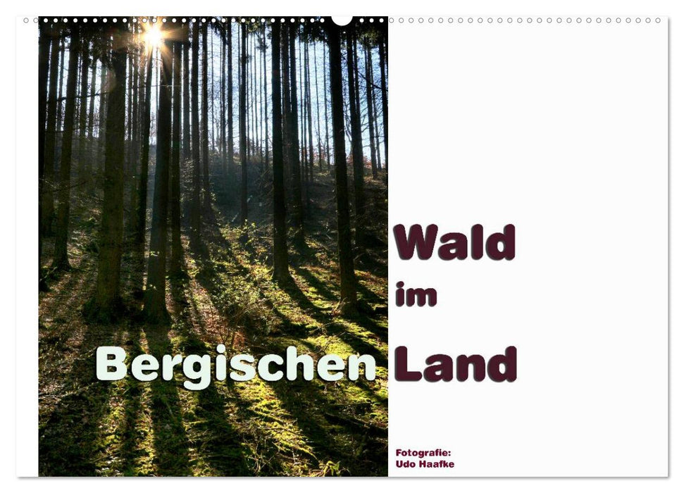 Wald im Bergischen Land 2027 (CALVENDO Wandkalender 2027)