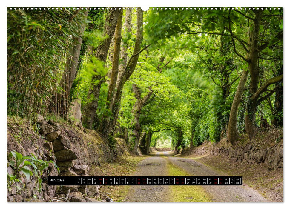Jersey - Insel im Ärmelkanal (CALVENDO Wandkalender 2027)