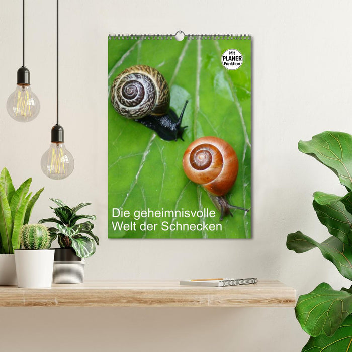 Die geheimnisvolle Welt der Schnecken (CALVENDO Wandkalender 2027)