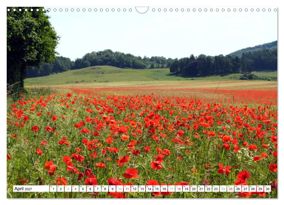 Naturlandschaft Laacher See (CALVENDO Wandkalender 2027)