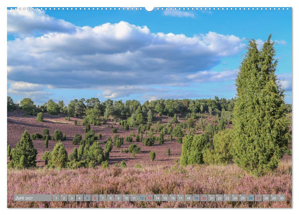 Lüneburger Heide - Faszinierend schön (CALVENDO Wandkalender 2027)