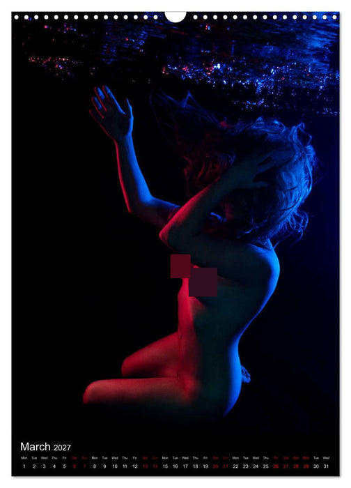 Underwater Erotic Shapes (CALVENDO Monthly Calendar 2027)
