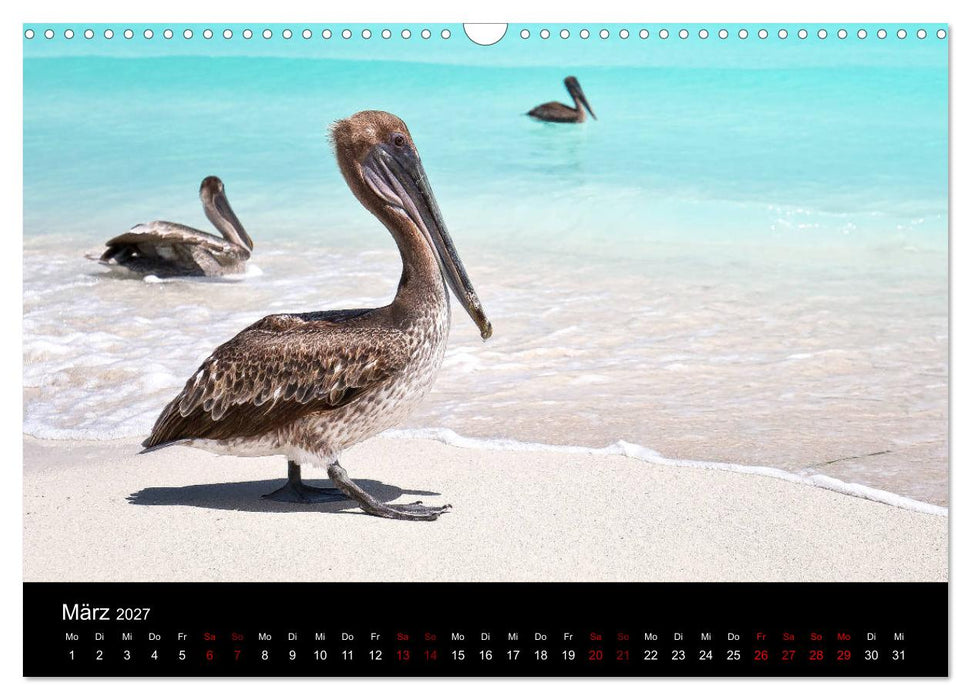 Kuba Varadero 2027 Leben im Paradies (CALVENDO Wandkalender 2027)